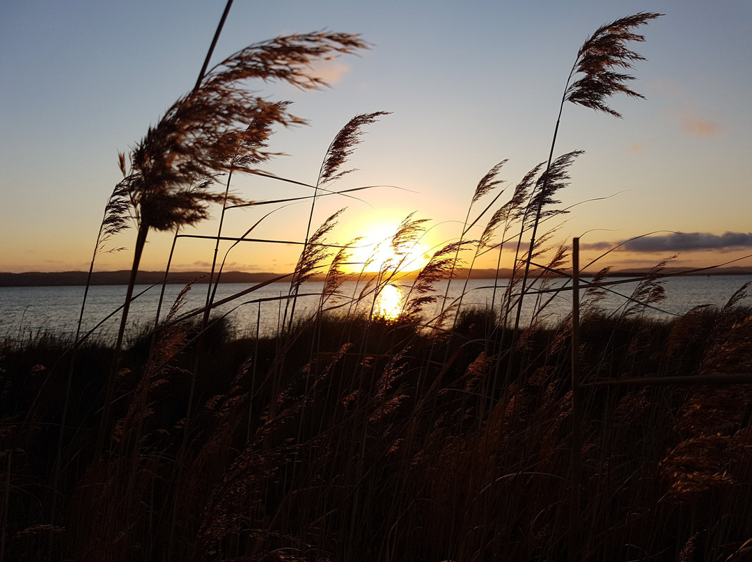 Long Jetty Foreshore Reserve-长码头必去景点