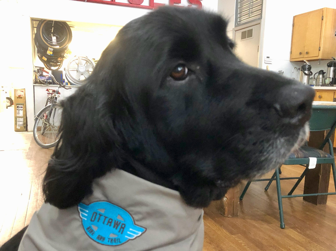 Ottawa Bike and Trail-Ottawa必去景点