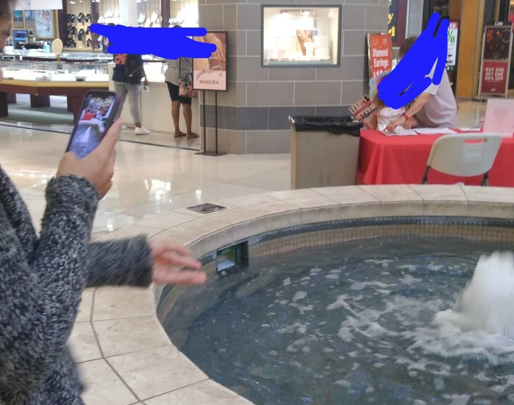 Oakland Mall-特洛伊必去景点