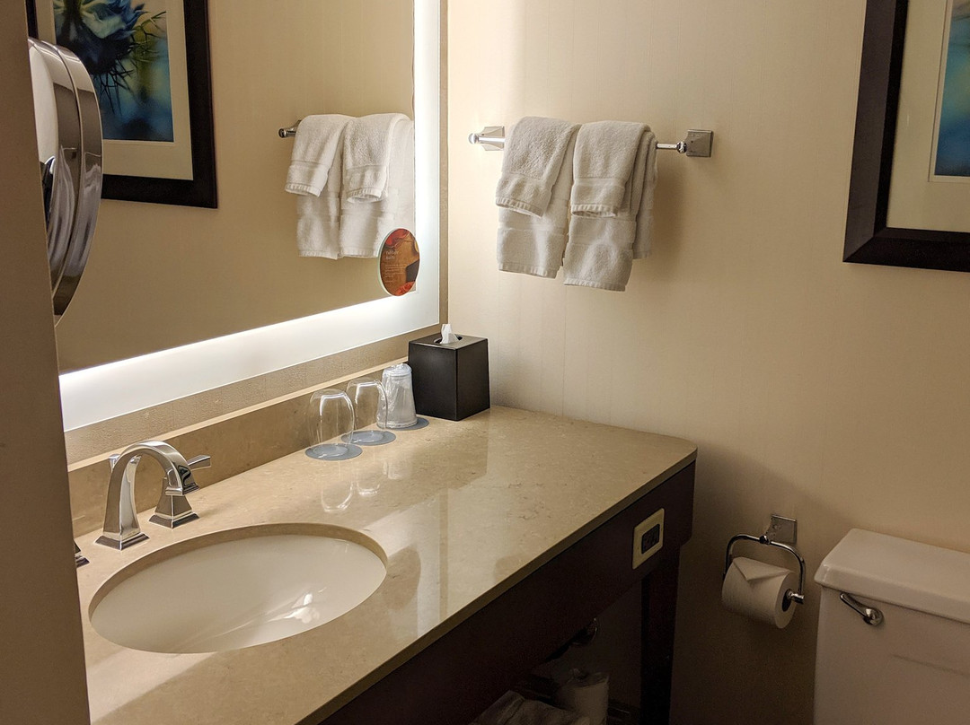 印第安纳波利斯威斯汀酒店主图