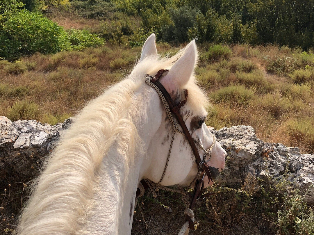 Travel Amalfi Day Tours-波西塔诺必去景点