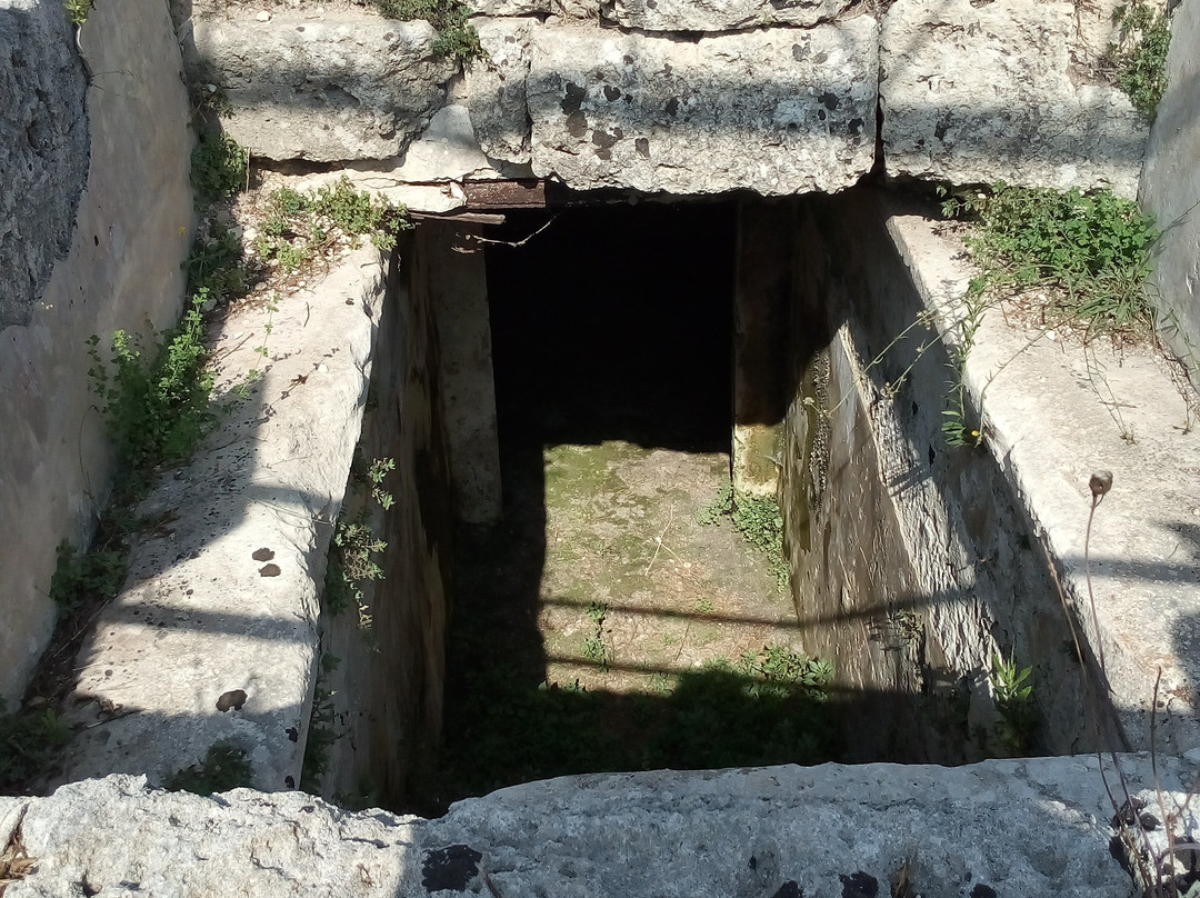 Parco Archeologico Di Rudiae-莱切必去景点