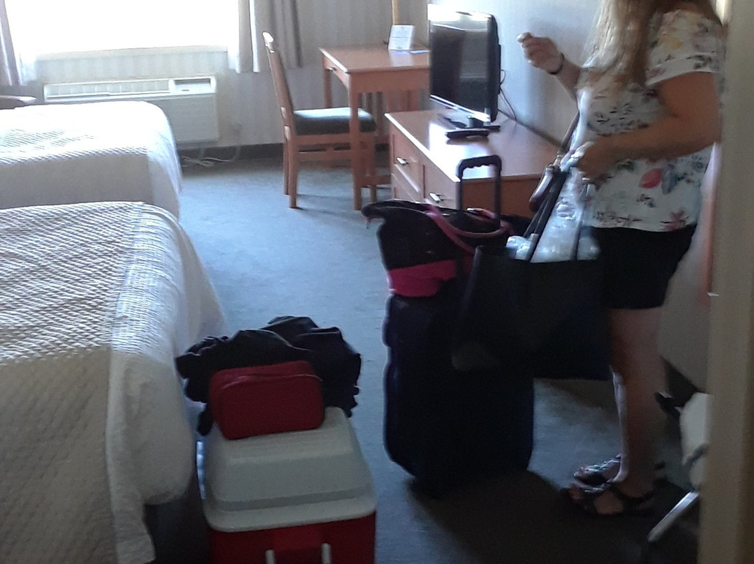 Days Inn by Wyndham Orillia主图