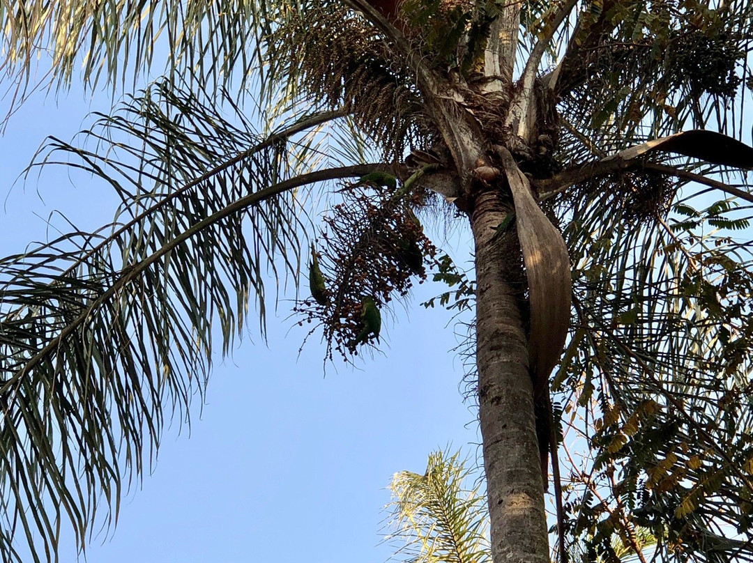 Pousada Alta Vista主图