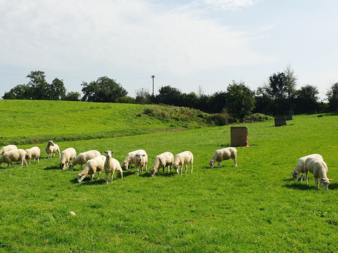 Claverham旅游攻略图片
