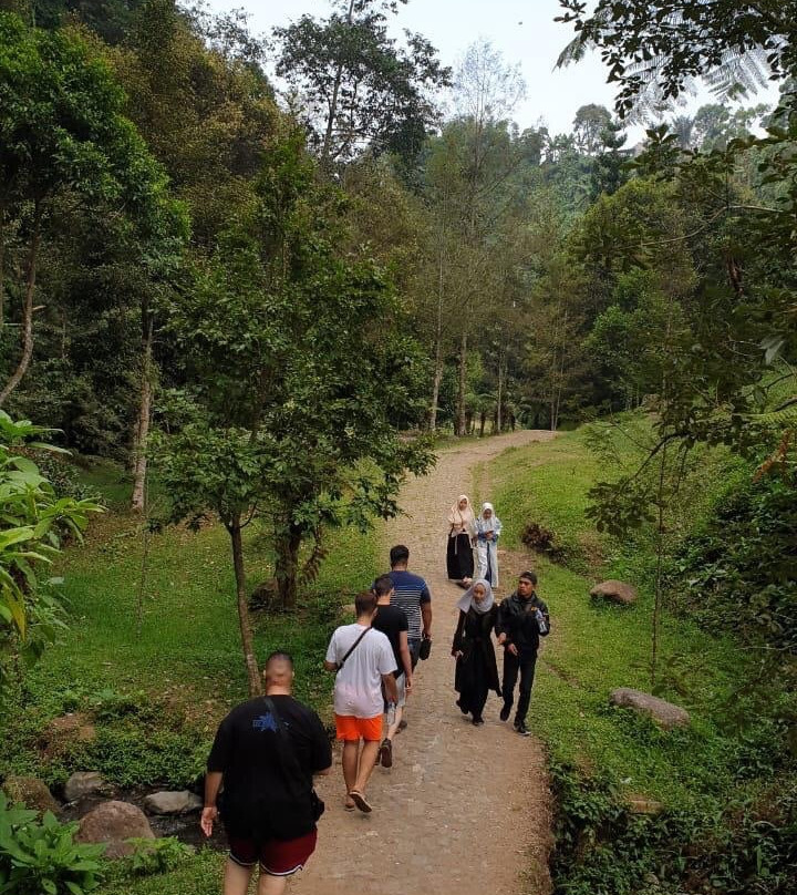 7 Air Terjun Sambangan景点图片