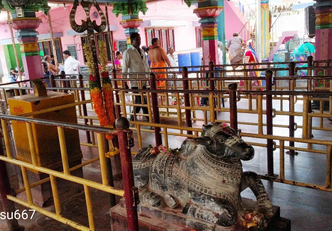 Sri Someswara Janardana Swamy Temple景点图片