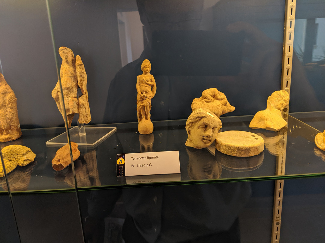 Nuovo Museo Archeologico di Ugento (Museo Civico)-乌真托必去景点