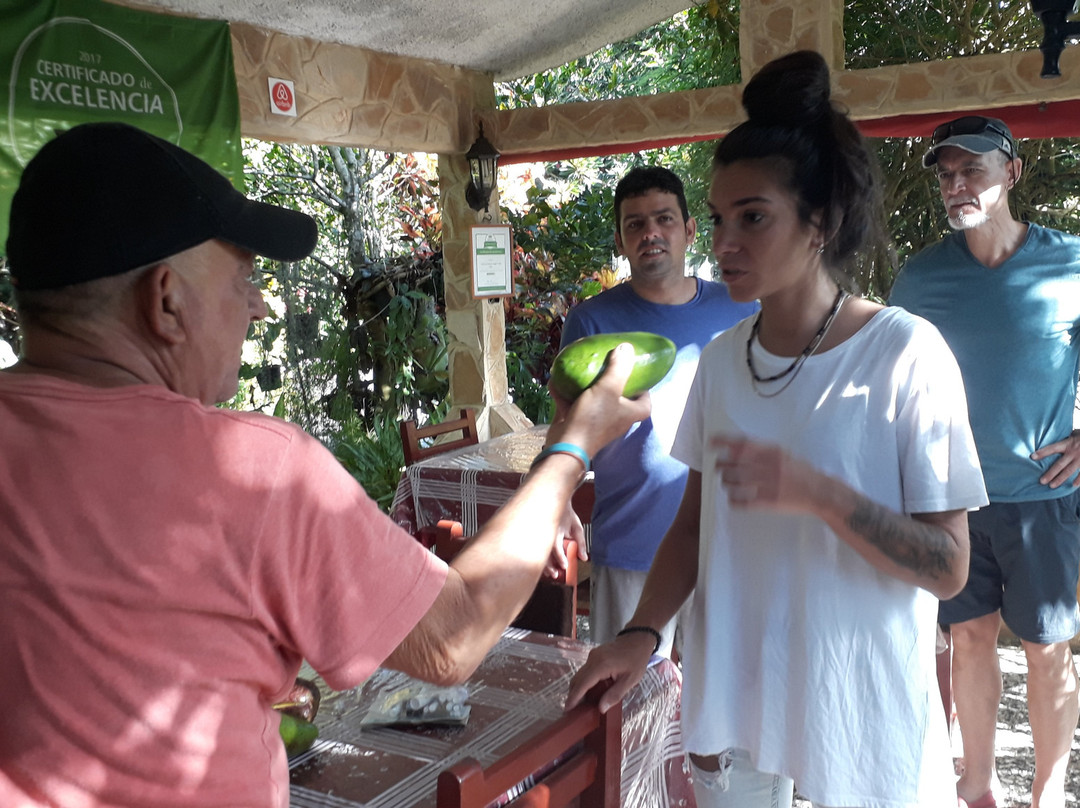 Casa Los Sauces Jorge y Ana Lidia主图