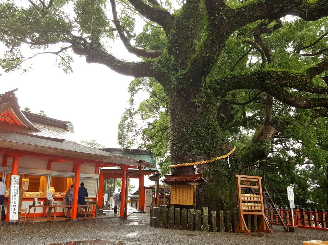 Kumano Nachi Taisha景点图片