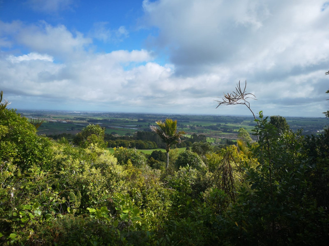 Manawatu Gorge Track景点图片