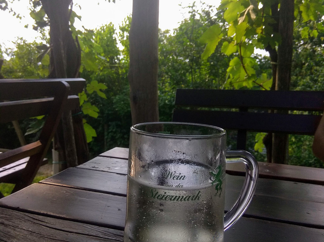 Schneiderannerl主图