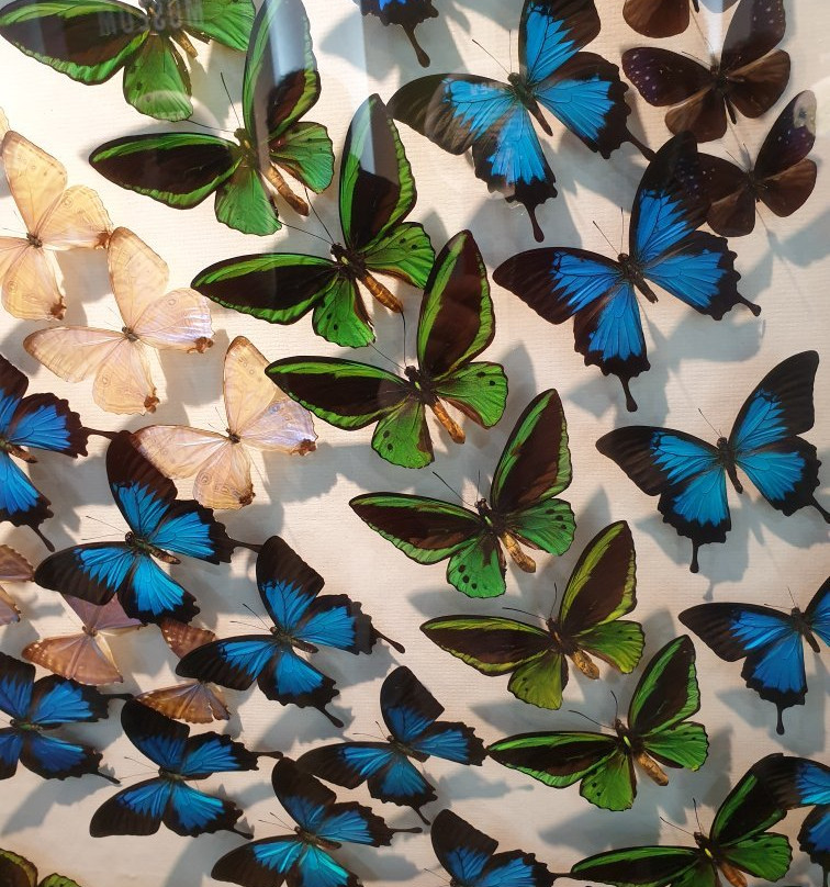 Bandi Land-茂朱郡必去景点