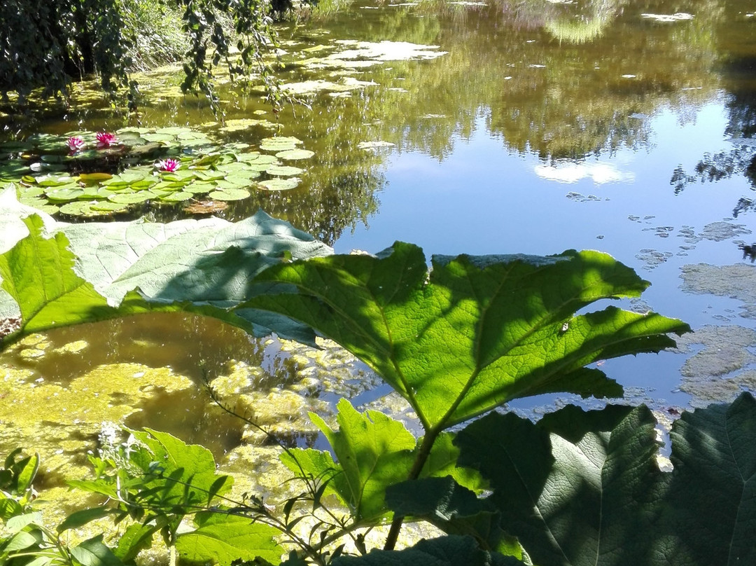 Les Jardins des Renaudies景点图片