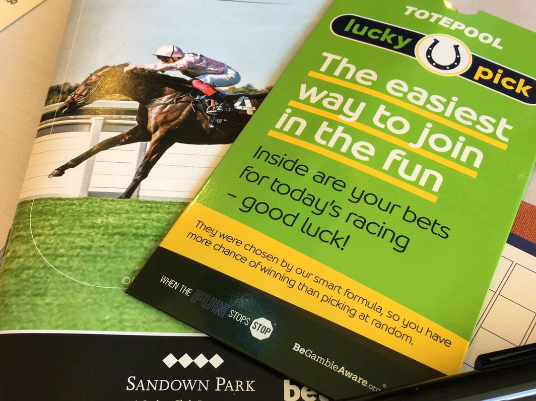 Sandown Park Racecourse景点图片