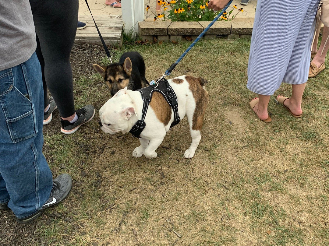 Round Barn Tasting Room - Union Pier-Union Pier必去景点
