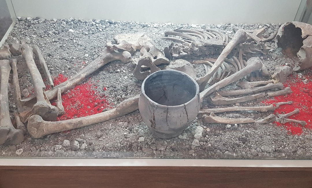 Kursk State Regional Archeological Museum-Kursk必去景点