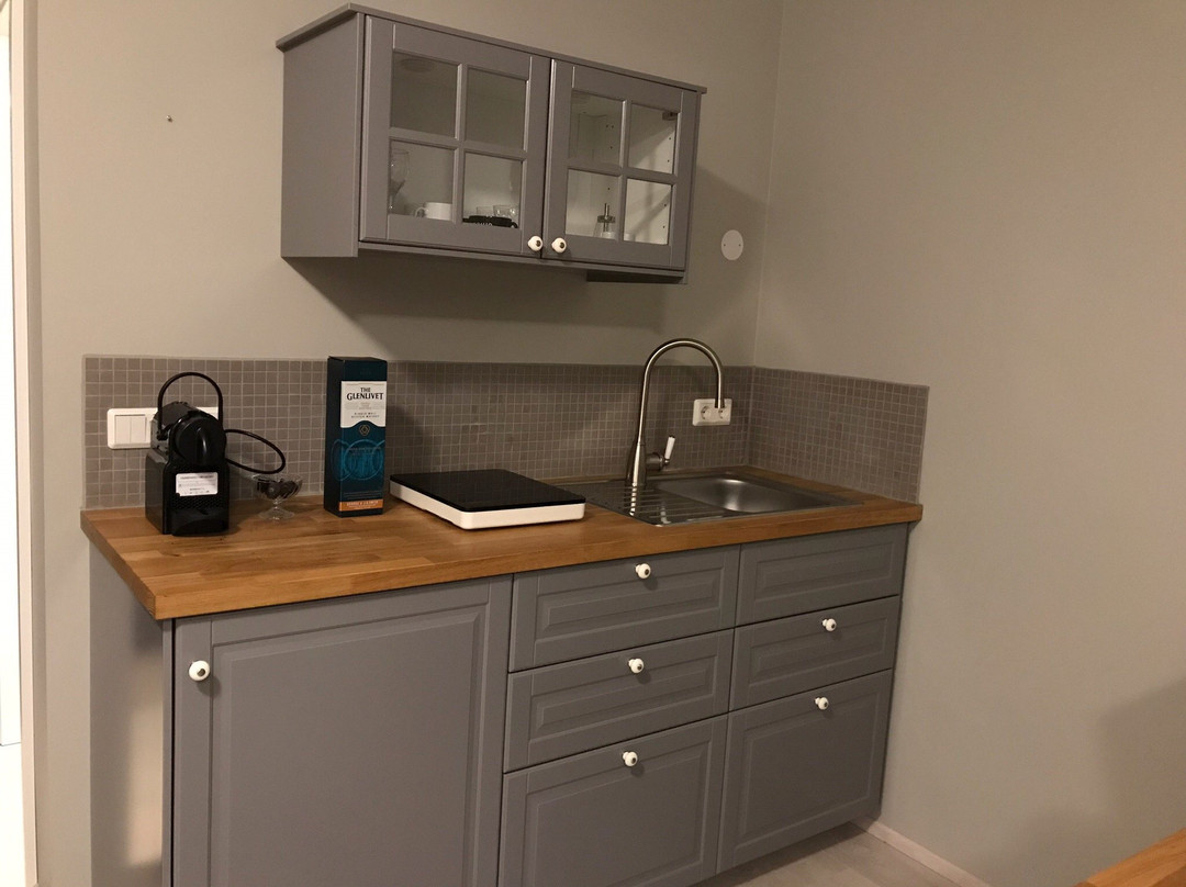 Hotel Natur - Leifshus主图