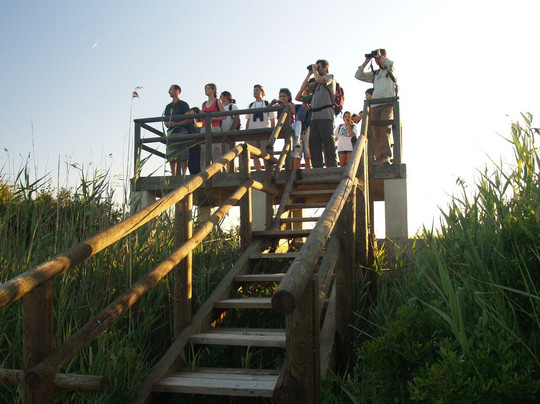 Mallorca Nature Tours
