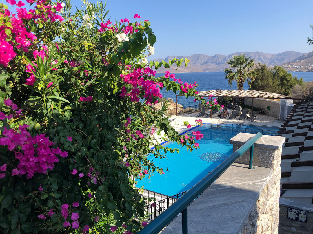 Elena Apartments主图