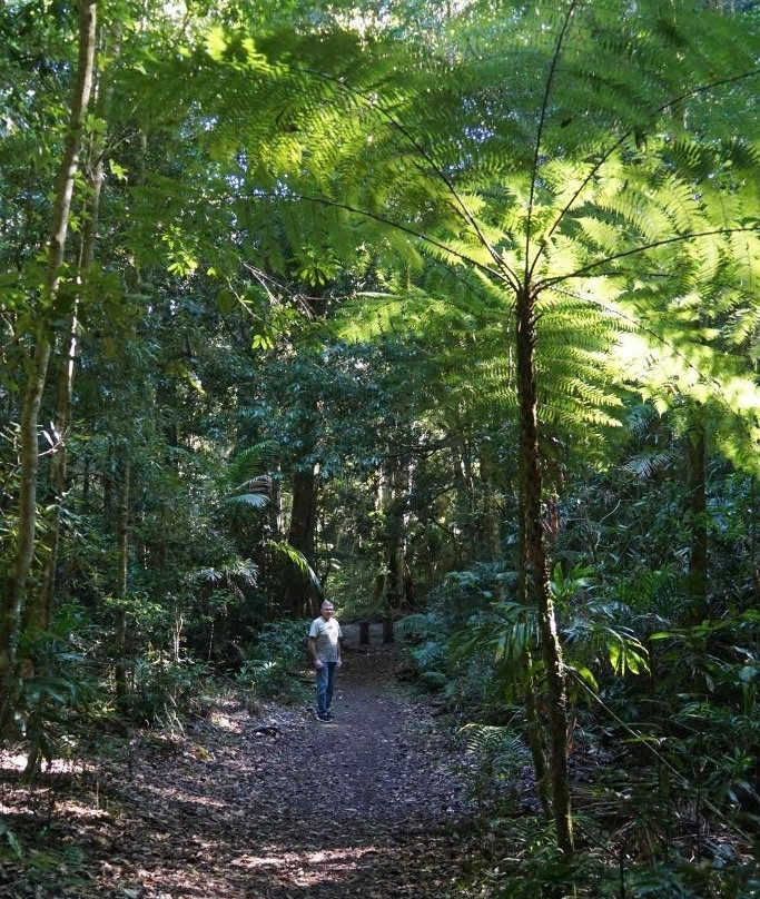 Ulidarra National Park景点图片