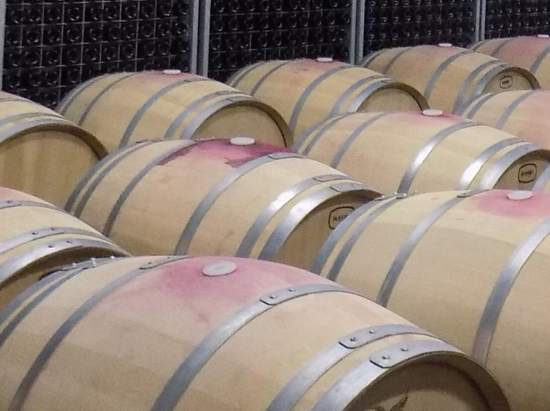 Crama Teodor-Ratesti必去景点