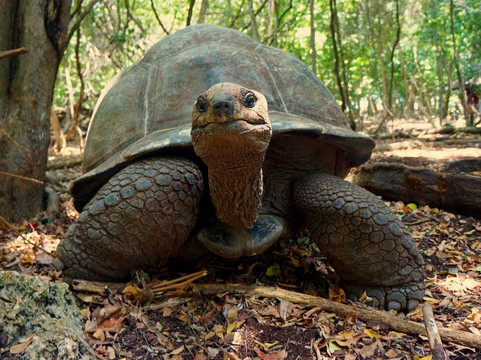 Slow Wind Tours-石头城必去景点