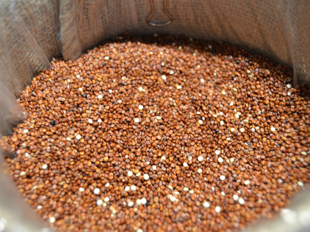 SOSO Store-穆尔西亚必去景点