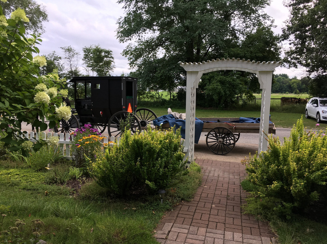 Mecan River House B&B主图