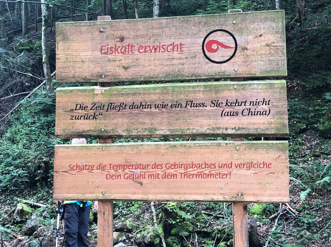 Bergwald-Erlebnispfad景点图片