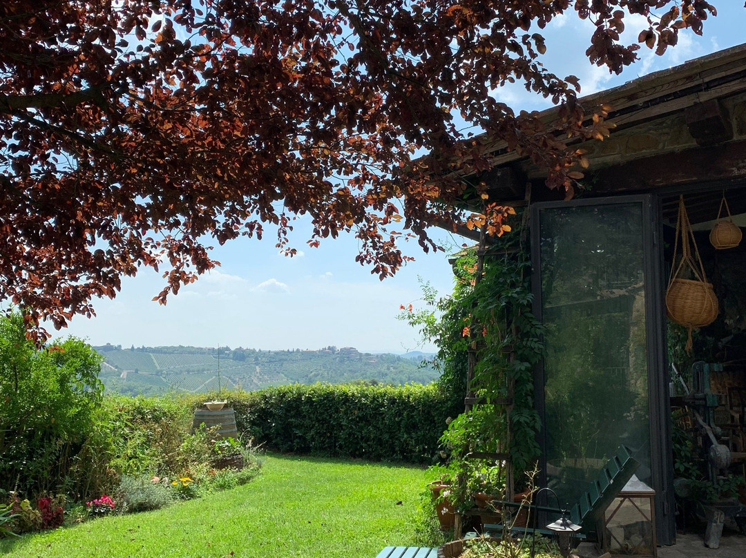 La Casa Di Bricciano - Organic Winery景点图片
