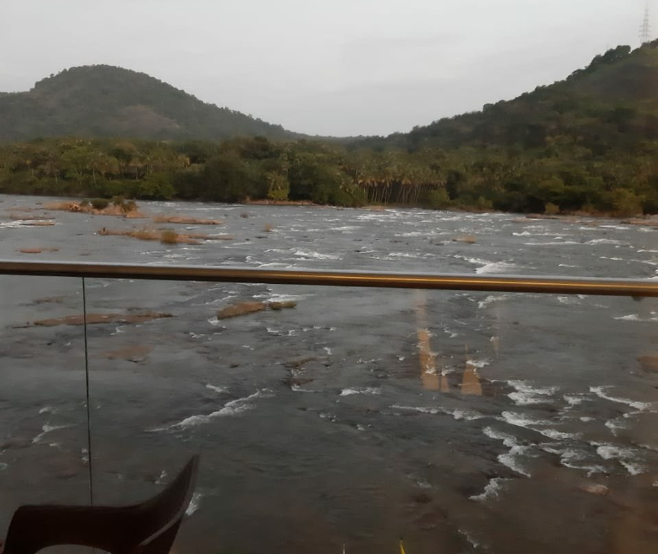Athirapilly River Resort主图