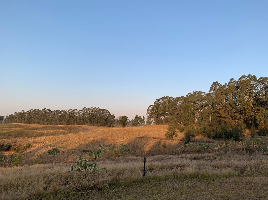 Lastingham Guest Lodge主图