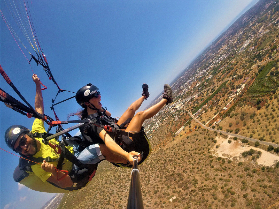 Paragliding with Nelson景点图片
