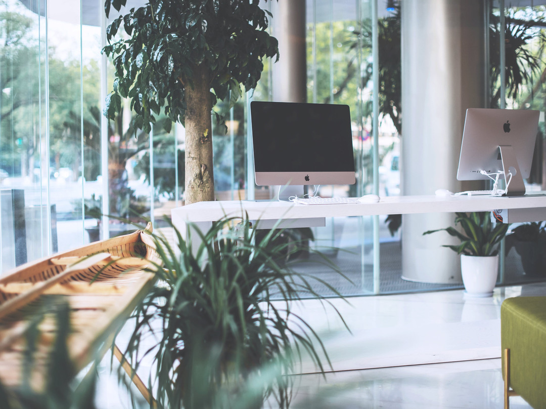 上海松江方塔智选假日酒店主图