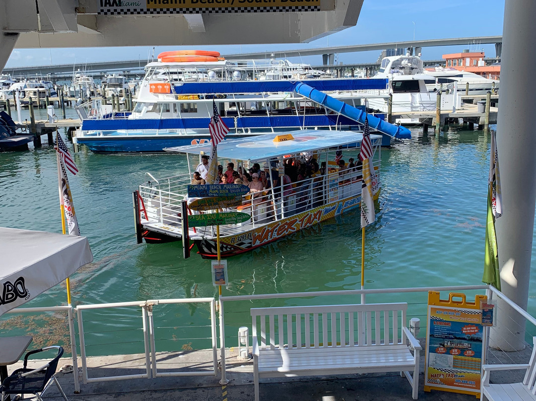 Water Taxi Miami景点图片