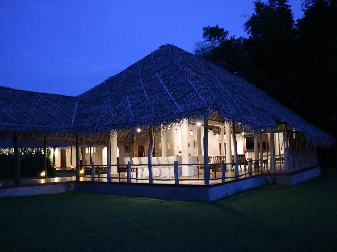 Evolve Back, Kabini主图