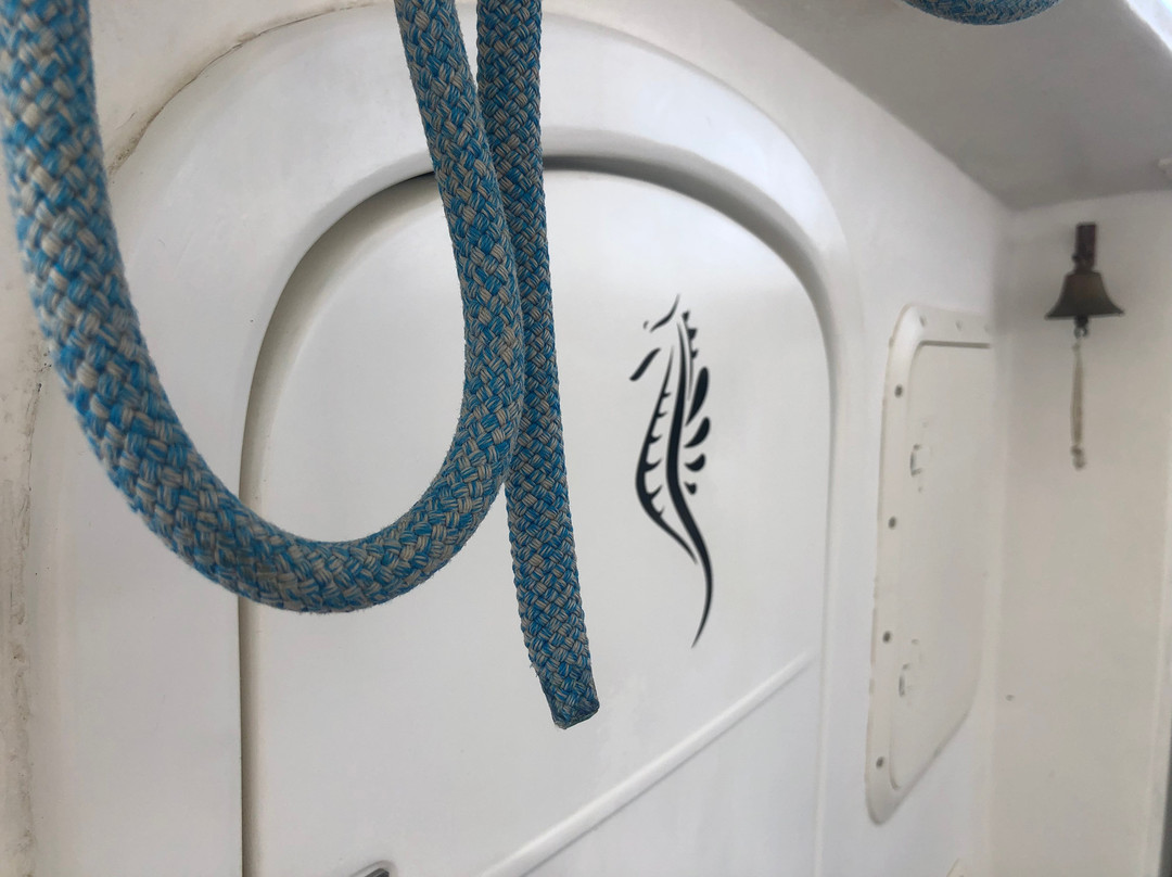 Catamaran Zostera景点图片