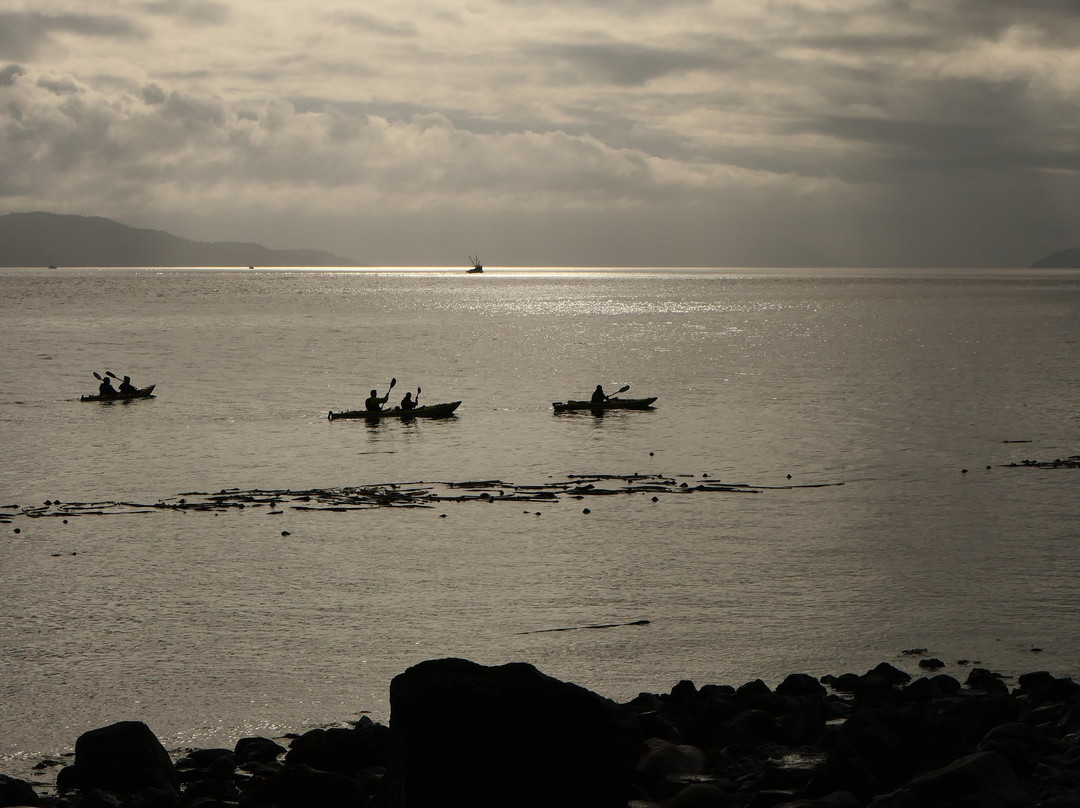 Ecosummer Expeditions-Telegraph Cove必去景点