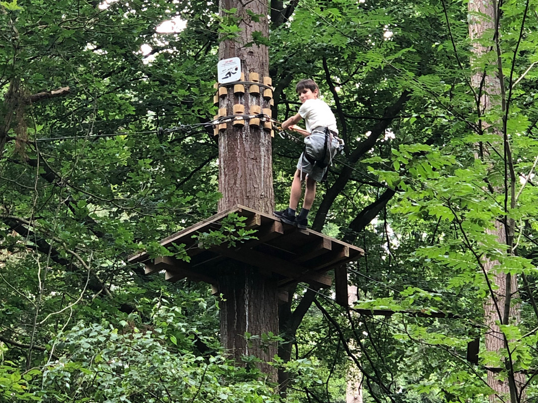 Klimbos Lage Vuursche-Lage-Vuursche必去景点