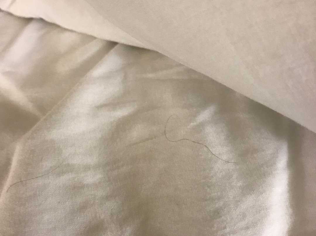 底特律诺维果园山美国长住酒店主图