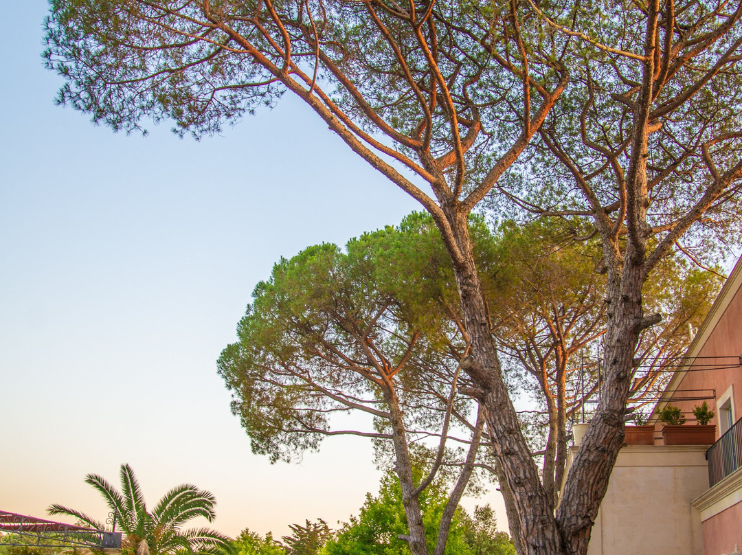 Relais Villa San Martino主图