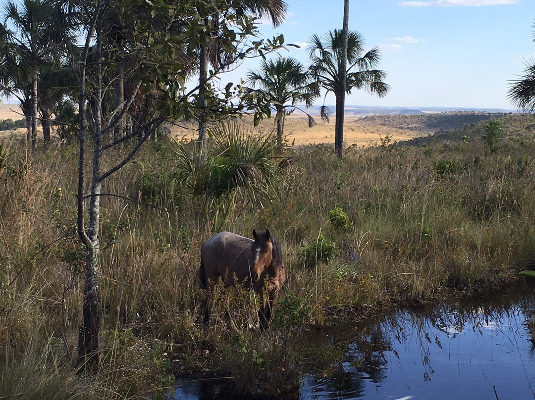 Parque Estadual da Serra dos Pireneus-Pirenopolis必去景点