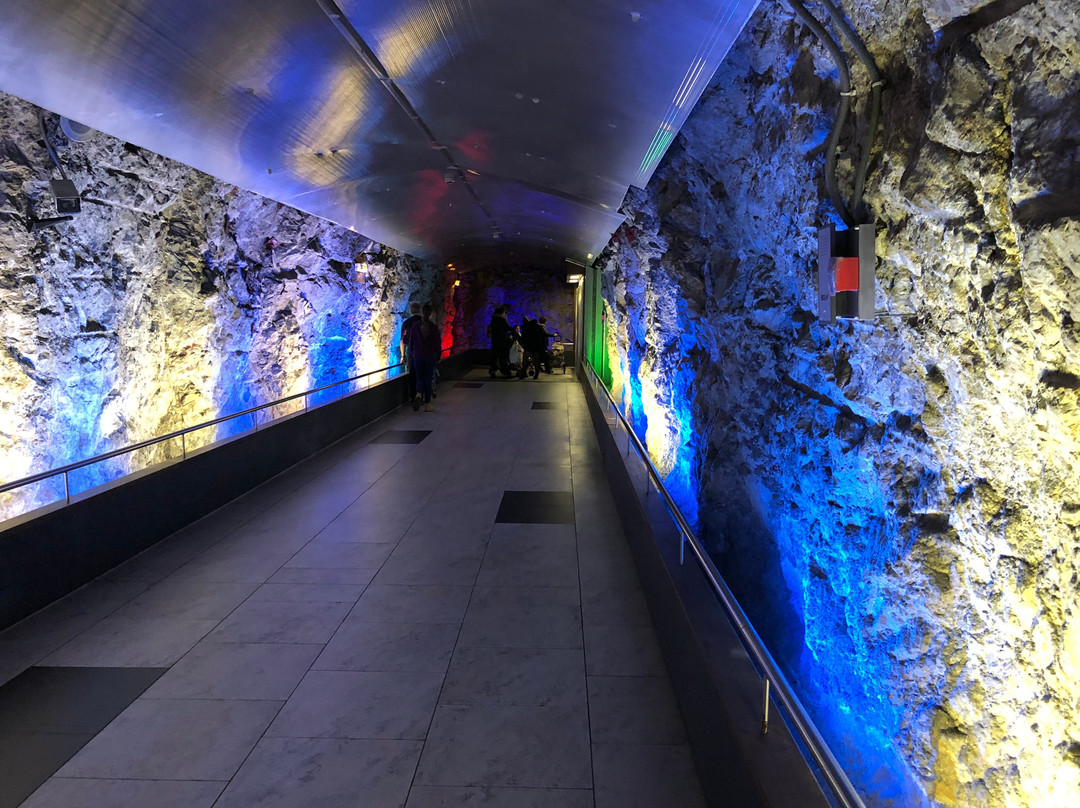 Fontvieille Shopping Centre-摩纳哥城必去景点