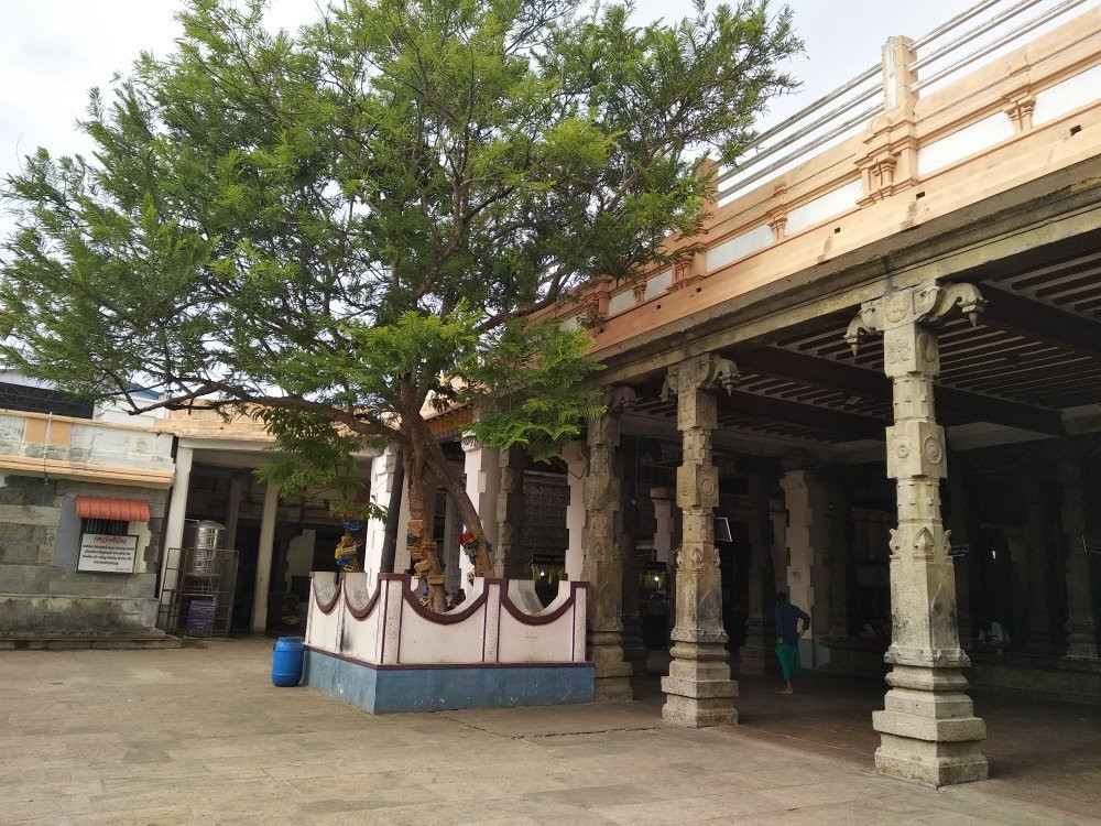 Arulmigu Swaminatha Swami Temple, Swamimalai景点图片