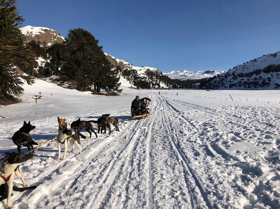 La Huella-Caviahue必去景点