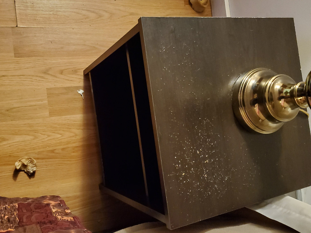 Golden Lion Motel主图