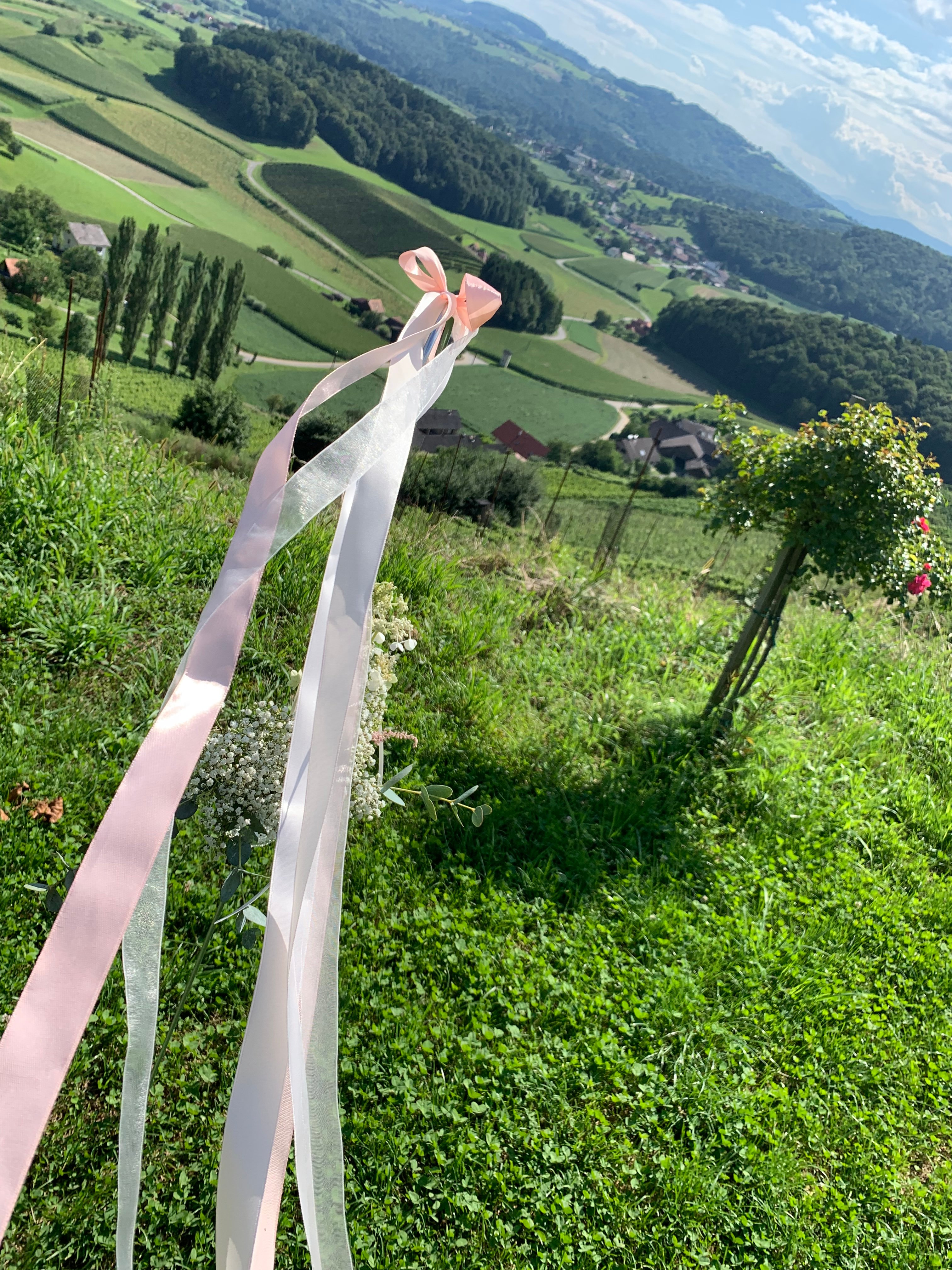 Weingartenhotel Harkamp Sudsteiermark-官方