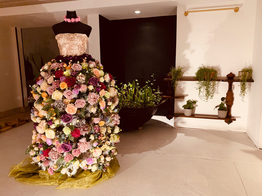 Hotel Presidente主图