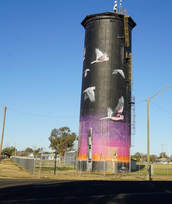 Coonamble Water Tower-Coonamble必去景点